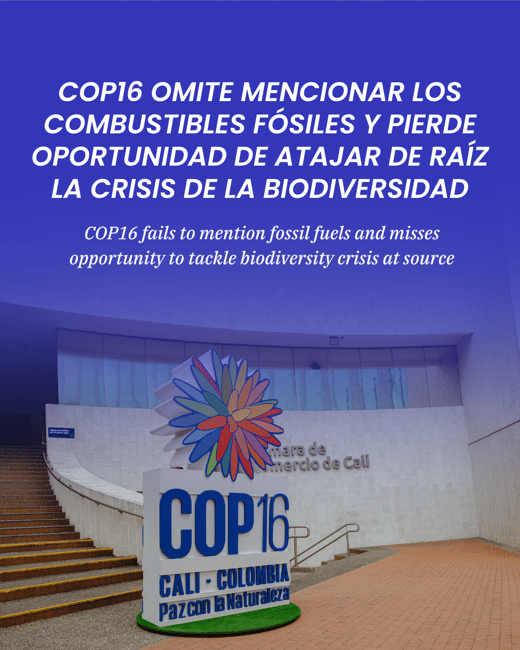 COP16 omite mencionar los combustibles fósiles y pierde oportunidad de atajar de raíz la crisis de la biodiversidad