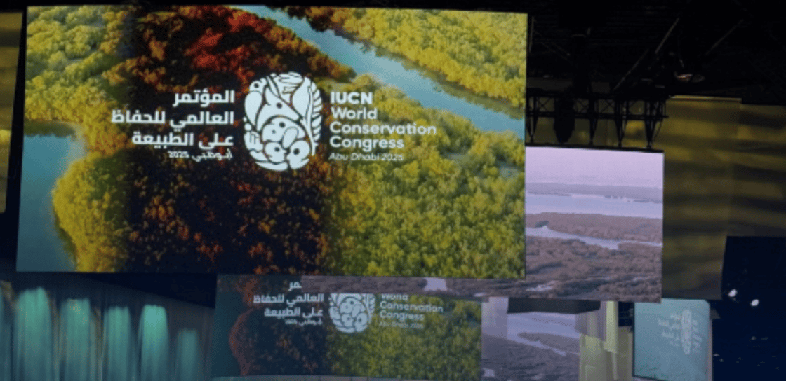 Screenshot 2025-11-08 at 12.39.24 PM